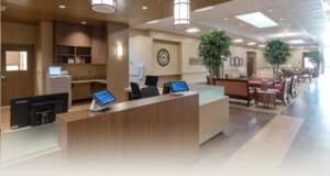 trellischino-subpage-mob-600×320-3